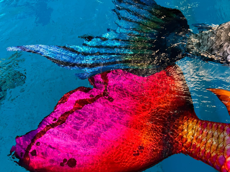 Fluken der Magictail Nymphea und Magictail Mythic Blue