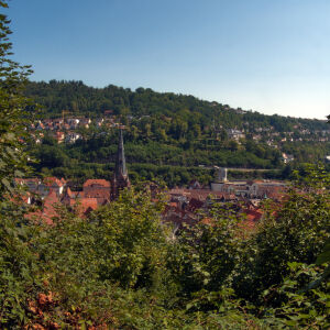 Blick &uuml;ber Calw, mit Stadtkirche und Bahnhofsturm