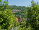 Stadtkirche Calw